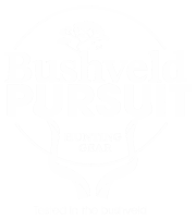 bushveld pursuit logo 02