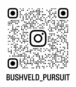 bushveld pursuit qr
